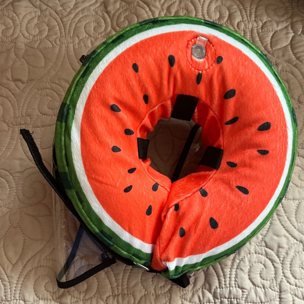 Dog cone, soft collar